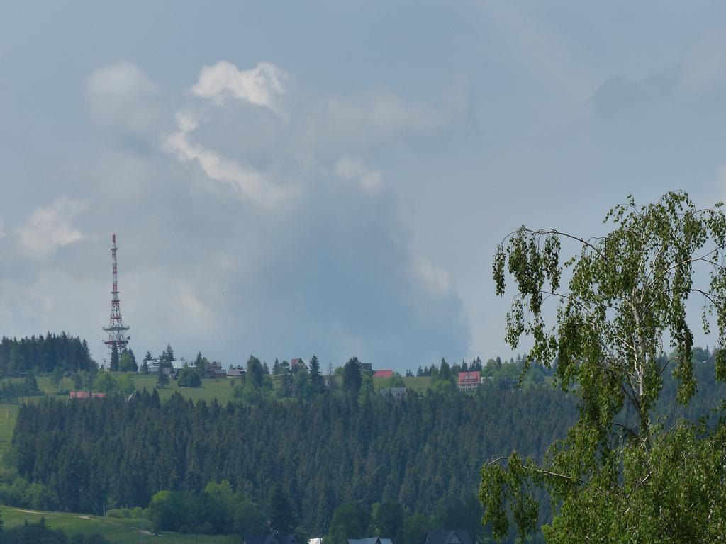 Апартаменты Pokoje U Zoskip Закопане Экстерьер фото